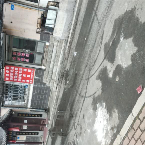 喵喵名猫屋:哈尔滨市南岗区芦家街/宣化街附近