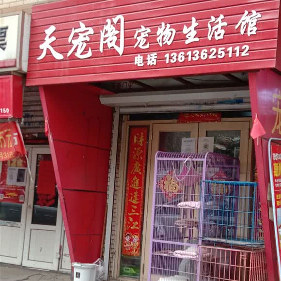 天宠阁宠物生活馆:哈尔滨市南岗区国际会展中心附近