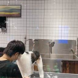 宠乐堂轻奢宠物私邑(红博中央公园店):哈尔滨市南岗区国际会展中心附近