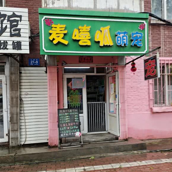 麦嘻呱萌宠:哈尔滨市南岗区和兴路沿线附近