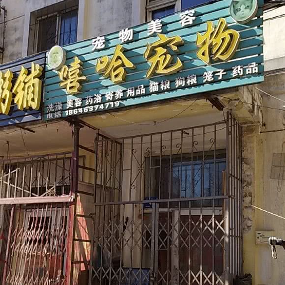 嘻哈宠物:哈尔滨市南岗区和兴路沿线附近