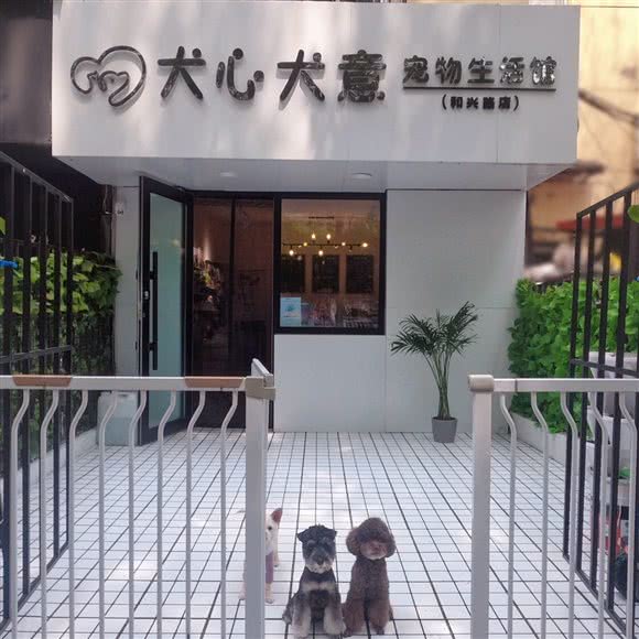犬心犬意?私宠(和兴路店):哈尔滨市南岗区和兴路沿线附近