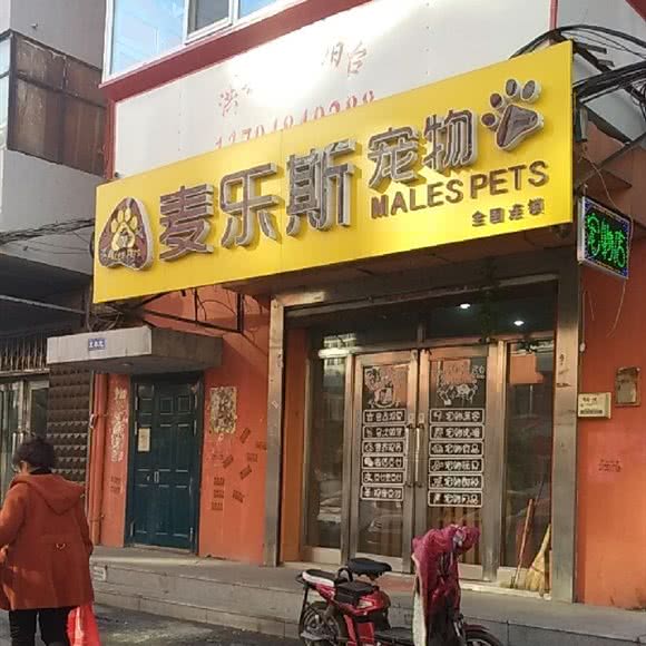 麦乐斯宠物:哈尔滨市南岗区和兴路沿线附近