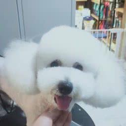 宠乐奇季生活会馆:哈尔滨市南岗区哈尔滨火车站附近