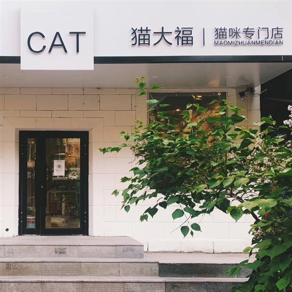 猫大福猫咪专门店:哈尔滨市南岗区果戈里/革新街附近