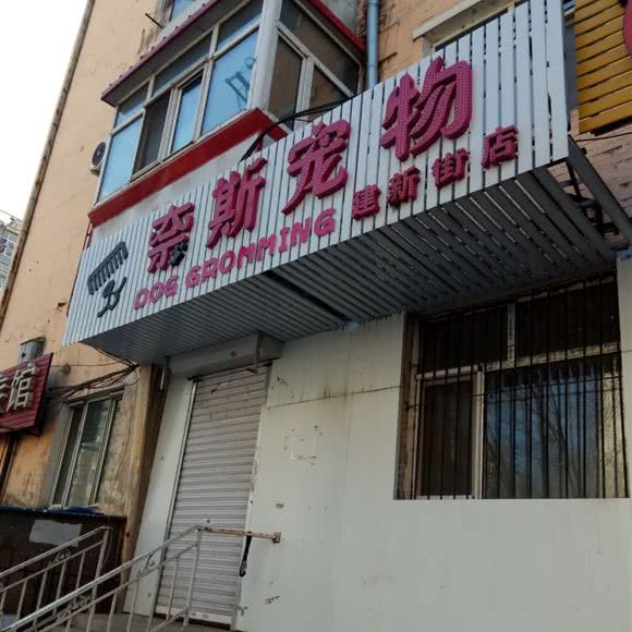 莱克宠物(建新街店):哈尔滨市南岗区果戈里/革新街附近