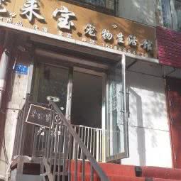 宠宝来宠物生活馆:哈尔滨市南岗区果戈里/革新街附近