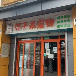 桔子派宠物:北京城区丰台区云岗附近