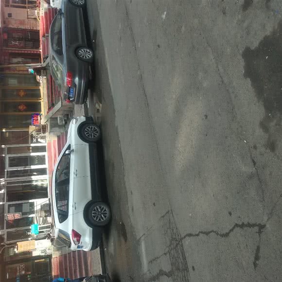 比萌宠物:哈尔滨市南岗区民生路/龙塔附近