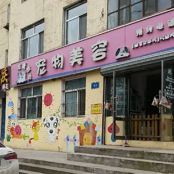 宠爱有家宠物美容:哈尔滨市南岗区民生路/龙塔附近