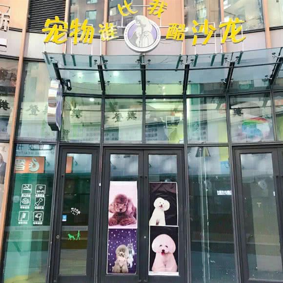 谁比我酷宠物美容沙龙:哈尔滨市南岗区民生路/龙塔附近
