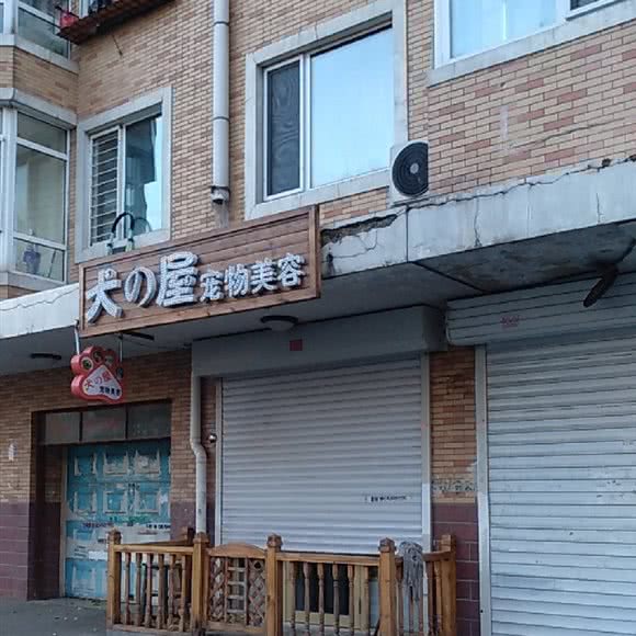 犬之屋宠物美容:哈尔滨市南岗区民生路/龙塔附近