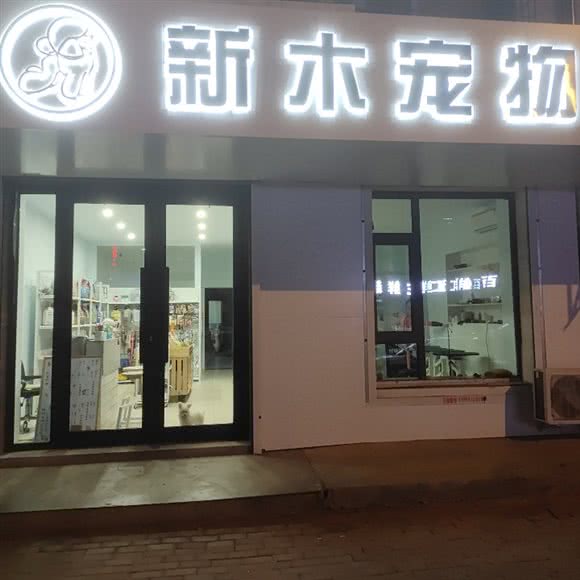 新木宠物:哈尔滨市南岗区民生路/龙塔附近