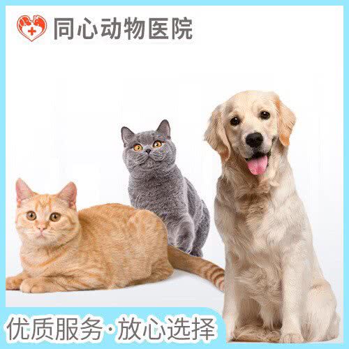 同心动物医院:哈尔滨市南岗区民生路/龙塔附近