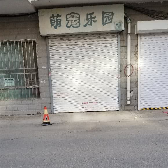 萌宠乐园:哈尔滨市南岗区征仪路/保健路附近