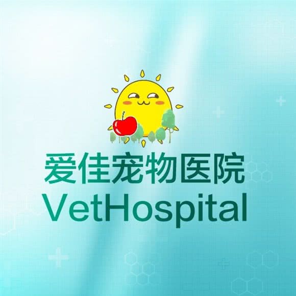爱佳宠物医院:哈尔滨市南岗区征仪路/保健路附近