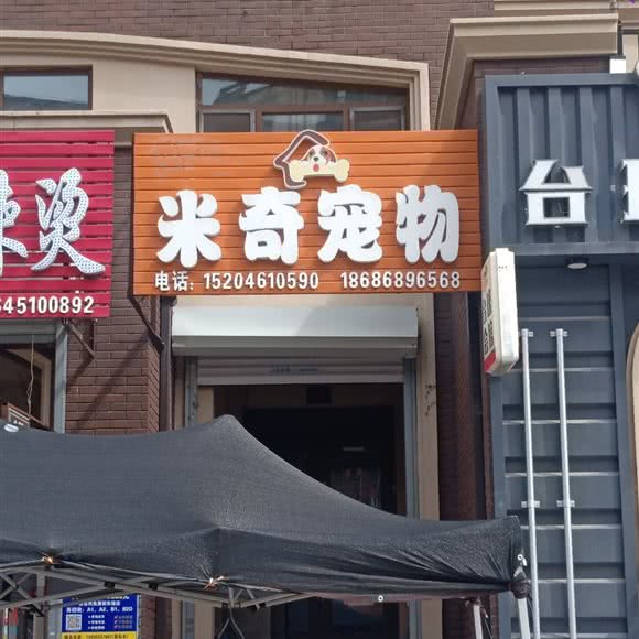 米奇宠物店:哈尔滨市南岗区王岗附近