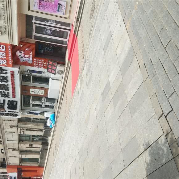 旭馨宠物店:哈尔滨市南岗区哈尔滨西站附近