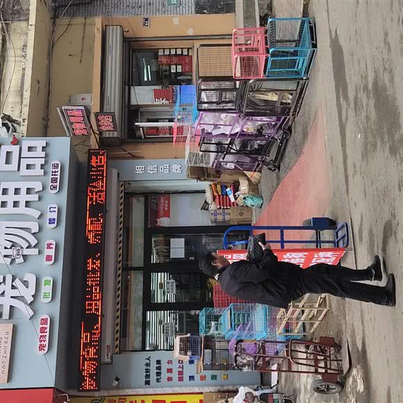 嘉宠好主人宠物用品:哈尔滨市道外区靖宇街沿线/阿拉伯广场附近