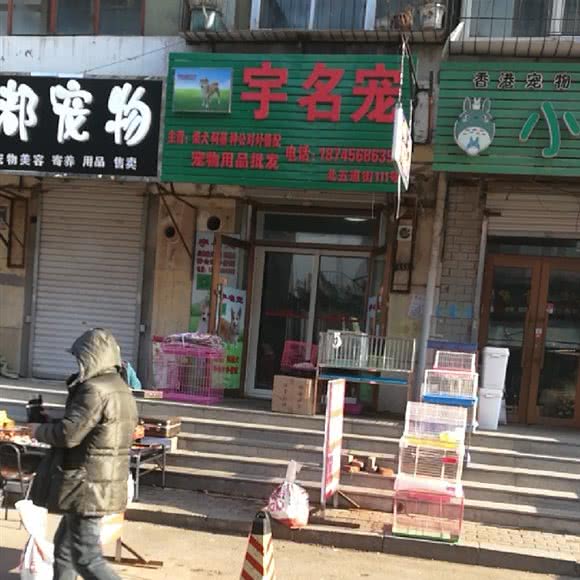 宇名宠:哈尔滨市道外区靖宇街沿线/阿拉伯广场附近
