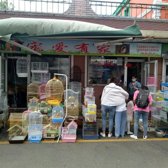 宠爱有家:哈尔滨市道外区江畔景区附近