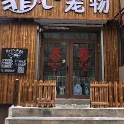 非凡宠物:哈尔滨市平房区新疆大街/平房经开区附近