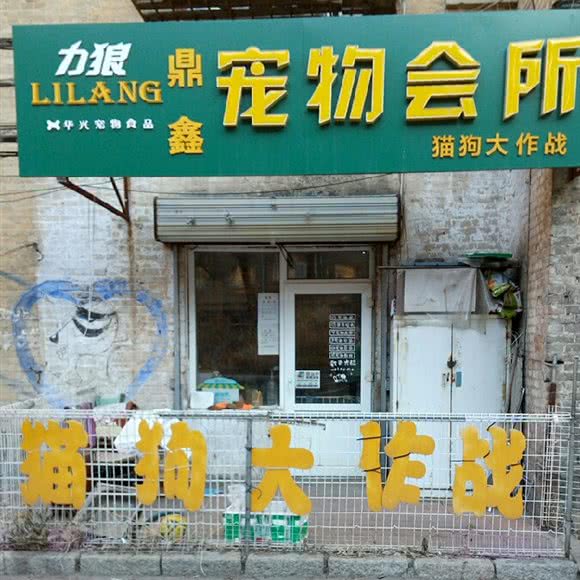 鼎鑫猫狗大作战宠物生活馆:哈尔滨市平房区新疆大街/平房经开区附近