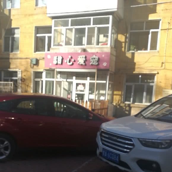 甜心爱宠宠物店:哈尔滨市平房区新疆大街/平房经开区附近