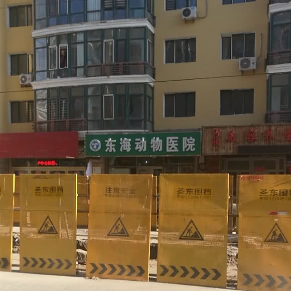 东海动物医院:哈尔滨市平房区新疆大街/平房经开区附近