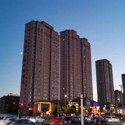 琪迹宠物:哈尔滨市松北区世茂大道附近
