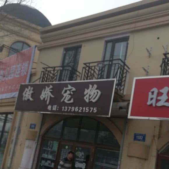 傲娇宠物:哈尔滨市松北区中源大道附近