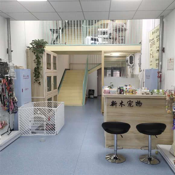 新木狗狗:哈尔滨市松北区中源大道附近