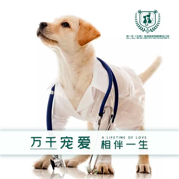 宠一生宠物医院(广安门店):北京城区西城区广外大街附近