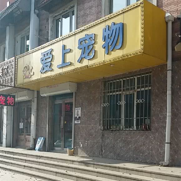 爱上宠物(鸿业街店):哈尔滨市香坊区安埠街附近