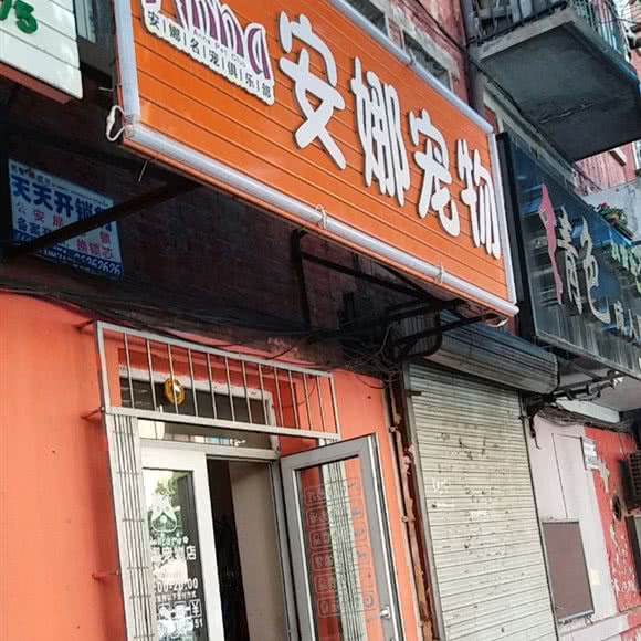 安娜宠物:哈尔滨市香坊区安埠街附近