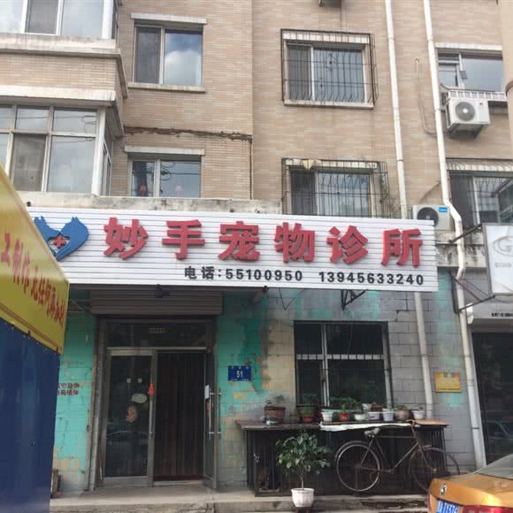 妙手宠物医院:哈尔滨市香坊区安埠街附近