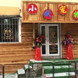 小妖宠物生活馆:哈尔滨市香坊区三大动力/三合路附近