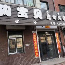 狗宝贝:哈尔滨市香坊区三大动力/三合路附近