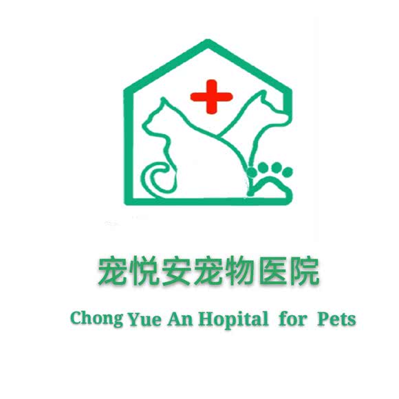 宠悦安宠物医院:哈尔滨市香坊区三大动力/三合路附近
