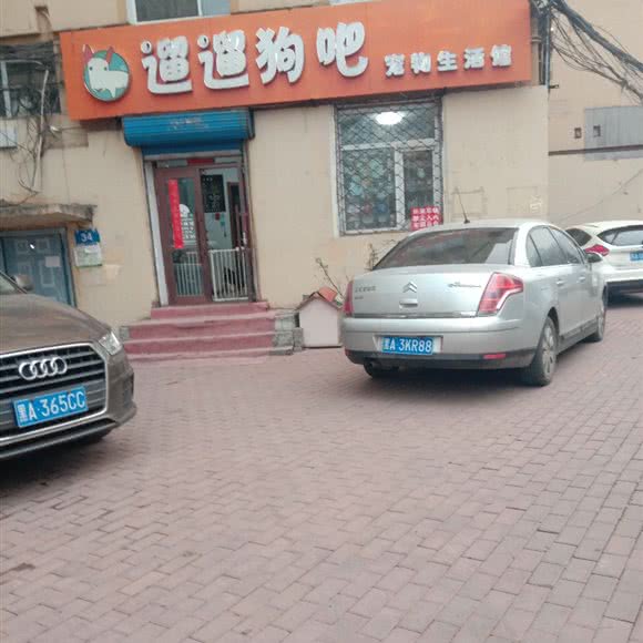 遛遛狗吧:哈尔滨市香坊区香坊万达广场附近