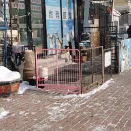 家有爱宠(朝北路):哈尔滨市香坊区木材街/东北农业大学附近
