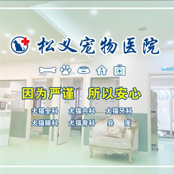 松义宠物医院:哈尔滨市香坊区乐松广场附近