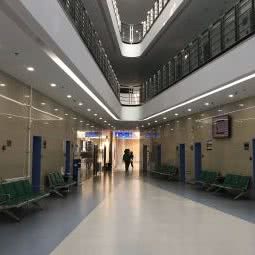 东北农大动物医院:哈尔滨市香坊区永泰城附近