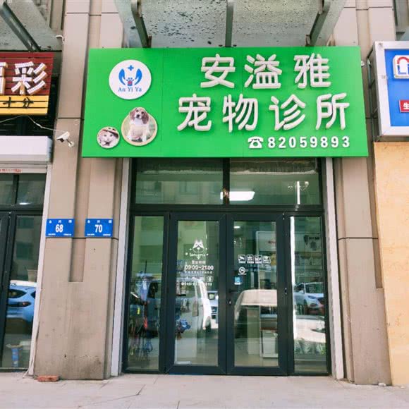 沈阳安溢雅宠物诊所:哈尔滨市香坊区永泰城附近