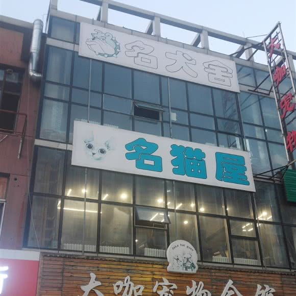 大咖宠物会馆:哈尔滨市呼兰区学院路附近