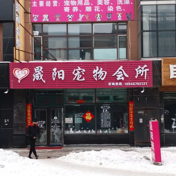 晟阳宠物会所:哈尔滨市呼兰区学院路附近