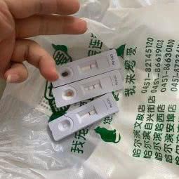 麦兜宠屋:哈尔滨市呼兰区学院路附近