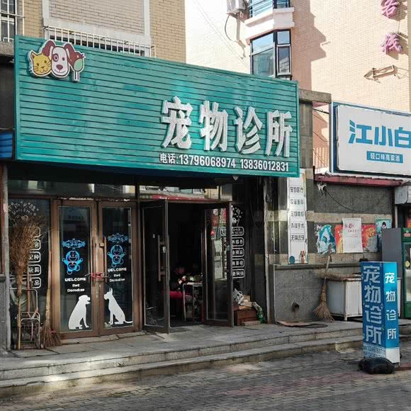 宠物诊所:哈尔滨市呼兰区学院路附近