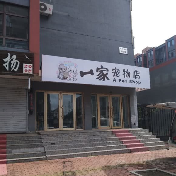 一家宠物店:哈尔滨市呼兰区萧红故居/呼兰老城区附近