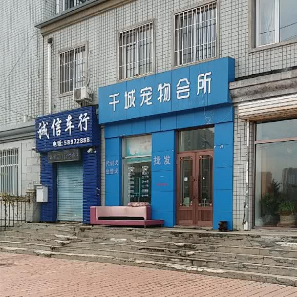 千城宠物会所:哈尔滨市呼兰区南京路附近